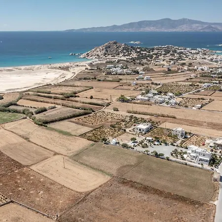 شقة فندقية Zanneta & ميكري فيغلا