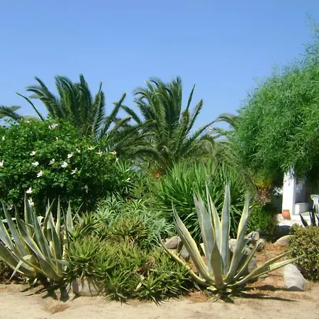 Zanneta & شقة فندقية ميكري فيغلا