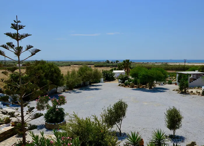 Apartahotel Zanneta &